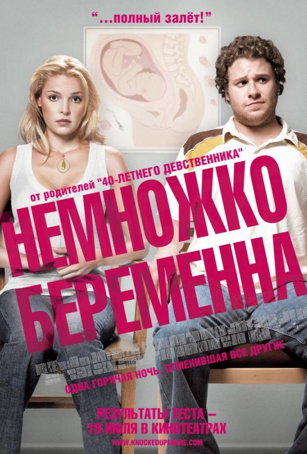 Постер фильма Немножко беременна