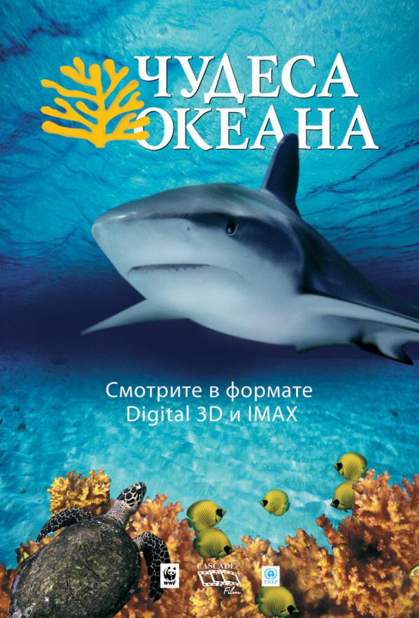 Постер фильма Чудеса океана 3D