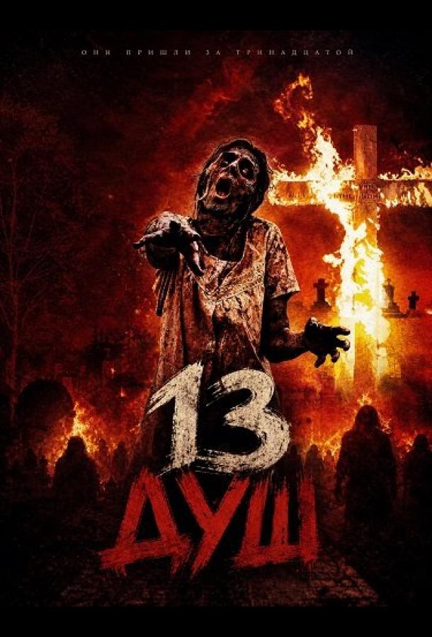 Постер фильма 13 душ
